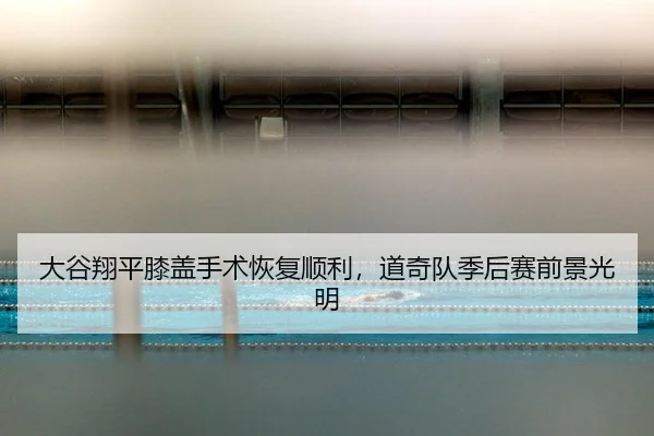 da-gu-xiang-ping-xi-gai-shou-shu-hui-fu-shun-li-dao-qi-dui-ji-hou-sai-qian-jing-guang-ming-2-379.jpg