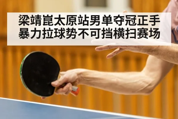 梁靖崑太原站男单夺冠正手暴力拉球势不可挡横扫赛场