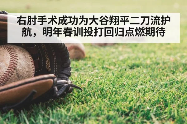 baseball spring training